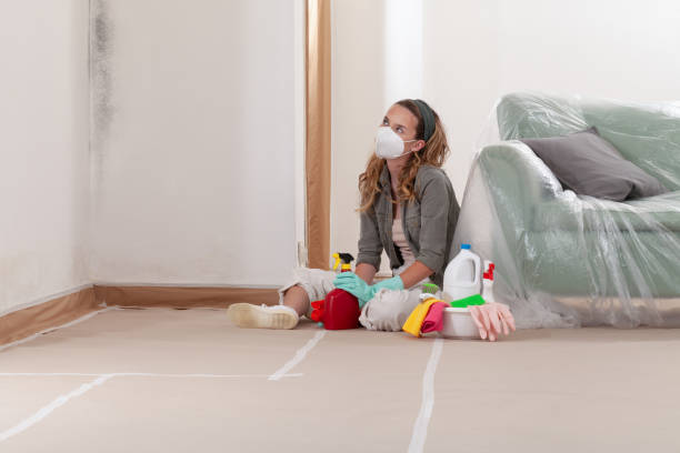 Reliable Commercial Mold Remediation contractor in Harrellsville, NC by WQB Mold Removal